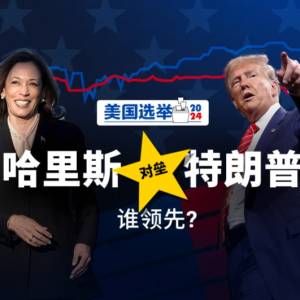 美国总统大选最新票数，谁领先？